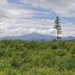 Green forest in the foreground with Mount Katahdin in the background below clouds and blue sky