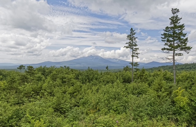 Green forest in the foreground with Mount Katahdin in the background below clouds and blue sky