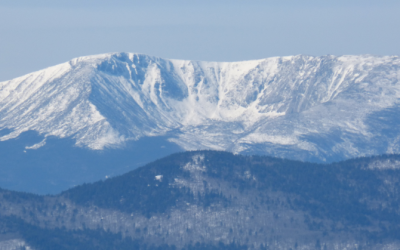 Read the Latest Wabanaki Alliance Newsletter