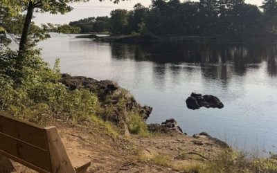 Read the Latest Wabanaki Alliance Newsletter